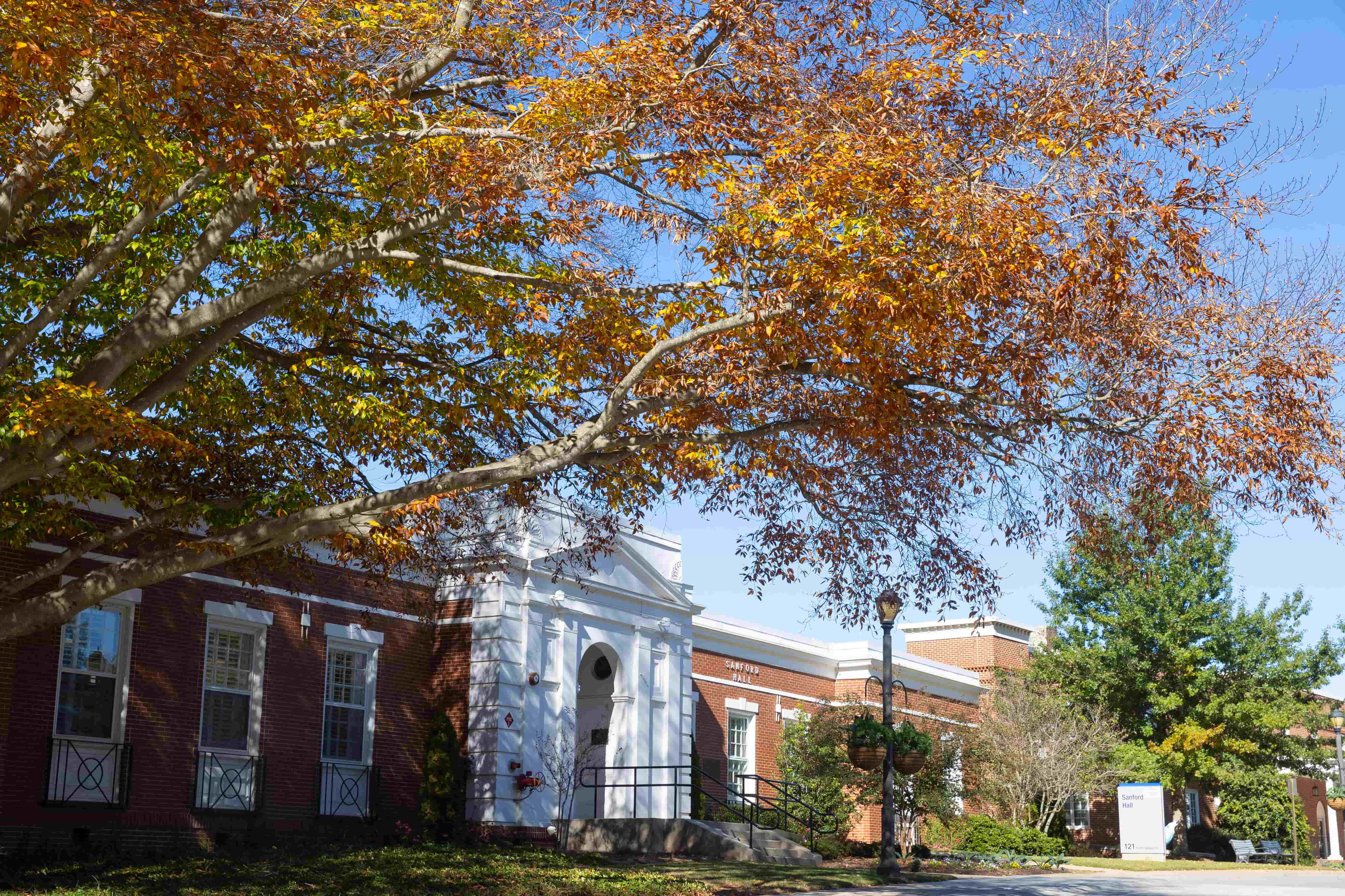Front campus drive during the fall, with a tree in the foreground displaying warm fall colored leaves.