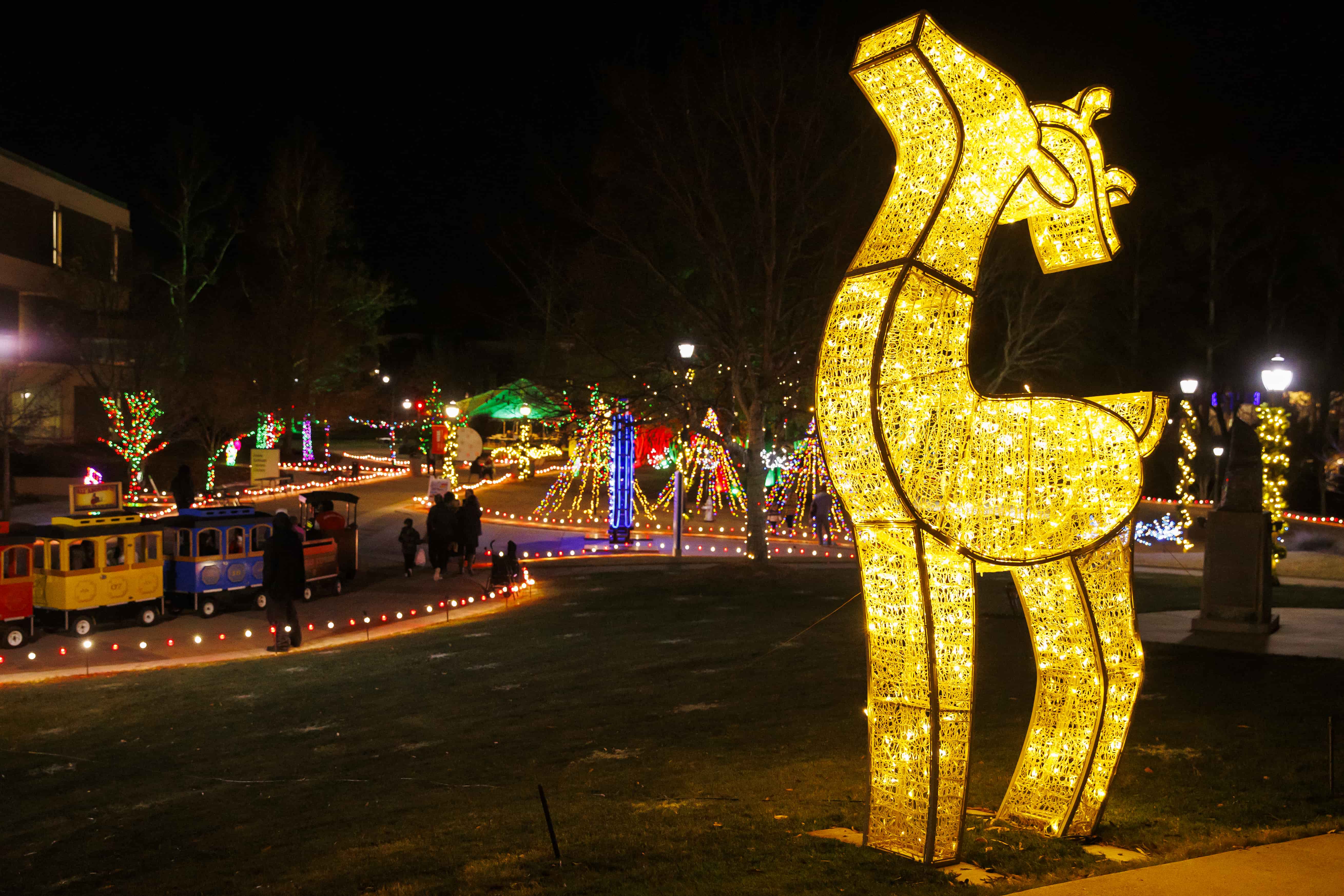 Light-up reindeer with holiday lights around Love Valley and the Campus Center.