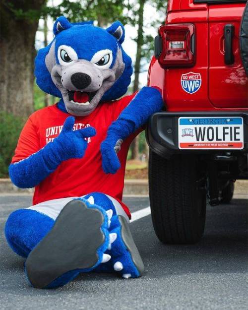 Wolfie sitting next to a vehicle.