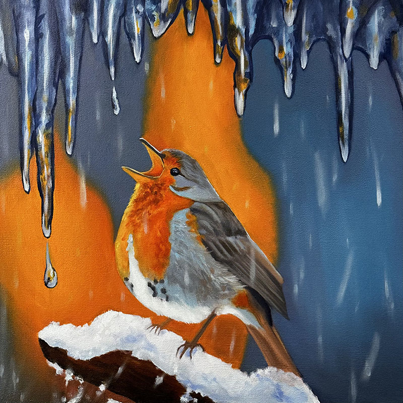robin in winter setting