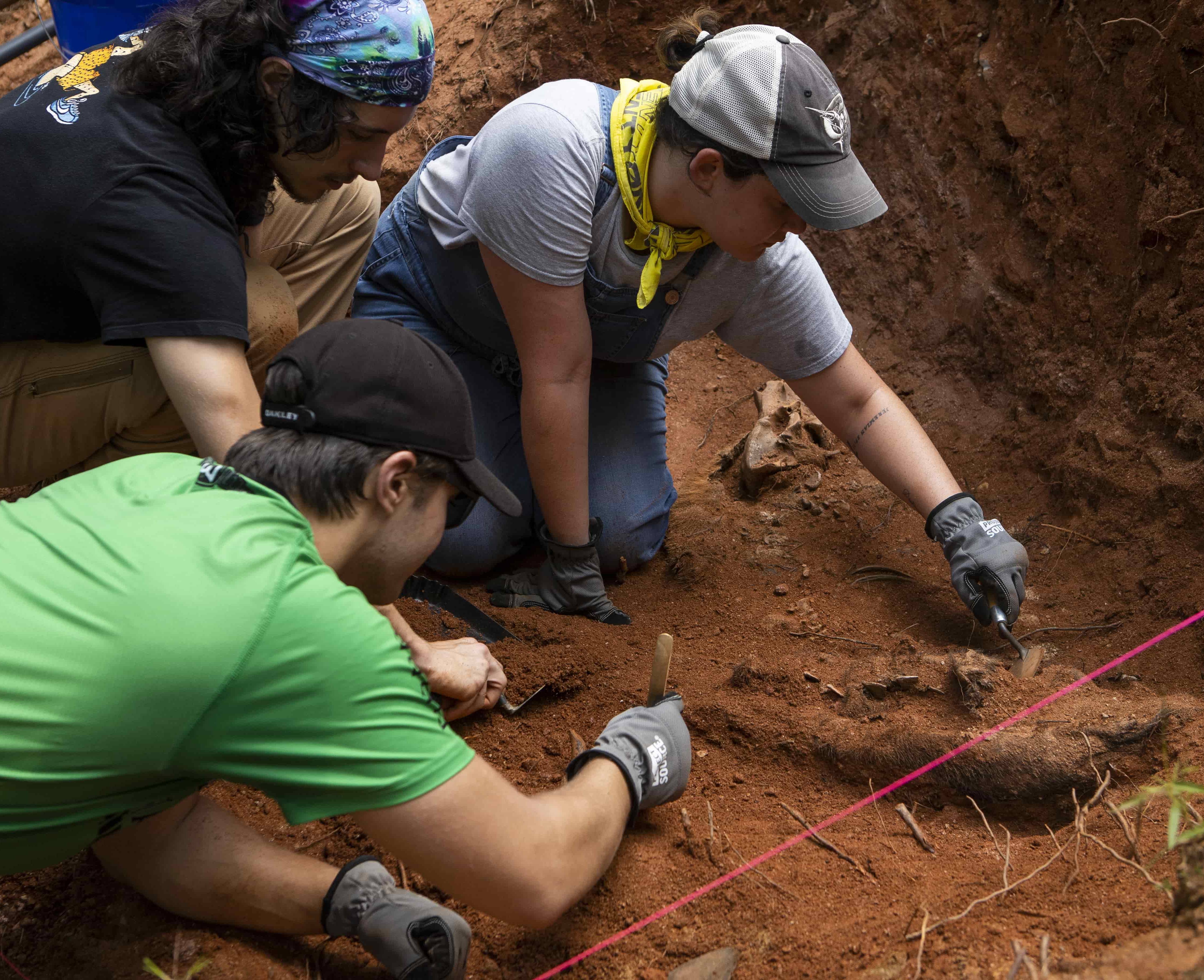 Students working at an archaeological site.