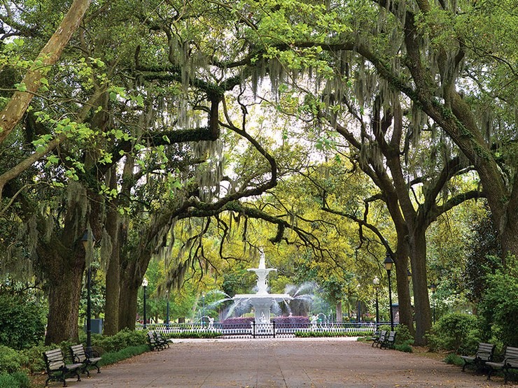 Savannah Fountain