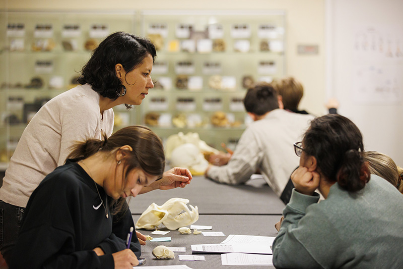 Dr. Isabel Maggiano in class.