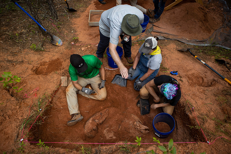 Dr. Corey Maggiano assists students during the Pig Dig, an annual event that teaches students to investigate insect invasion and mock crime scenes in a cross-disciplinary field project.