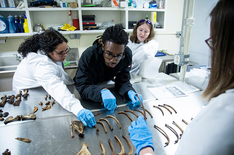 UWG students in the Biological and Forensic Anthropology Laboratory