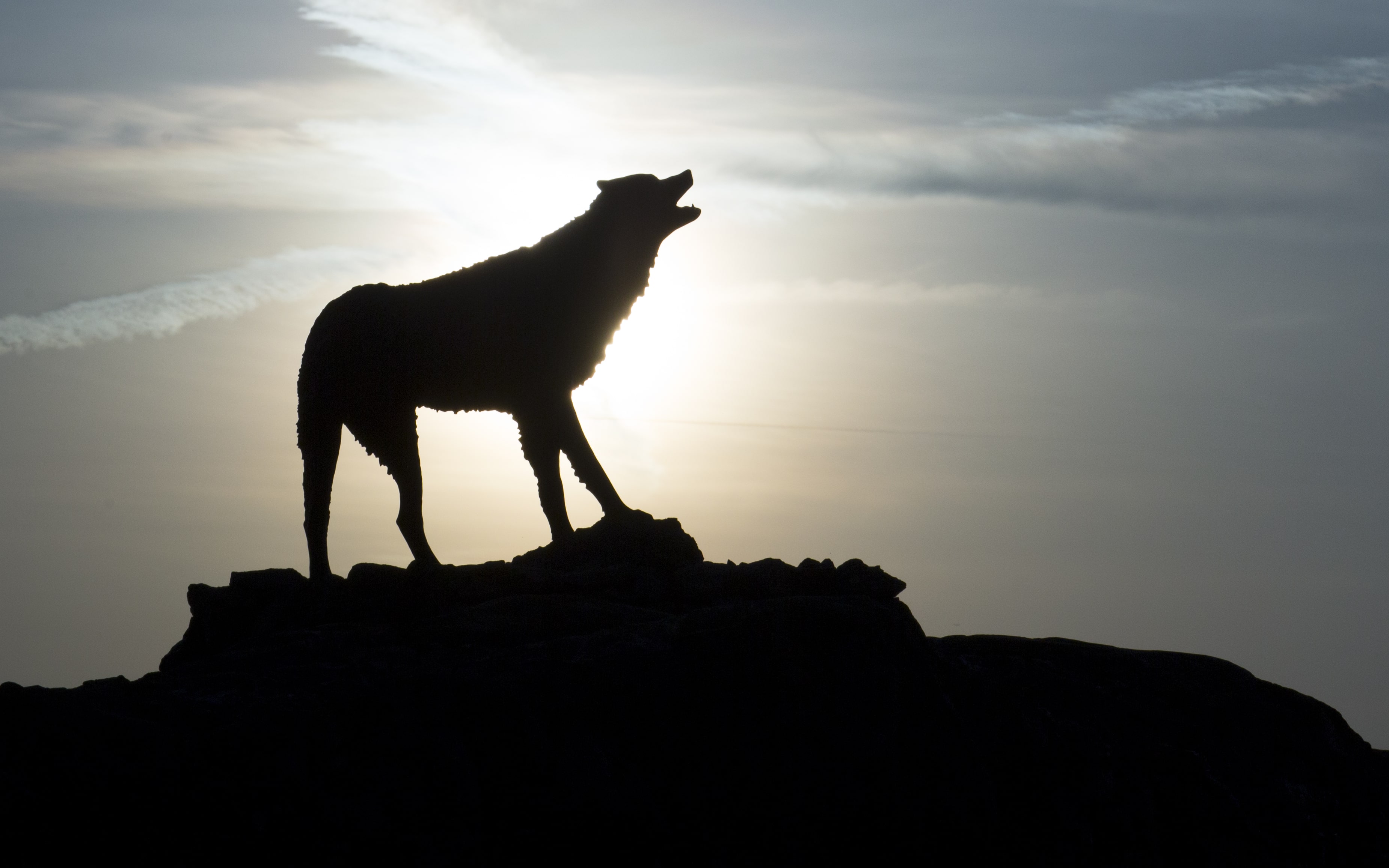 Wolf Plaza with sun behind creating a silhouette of the wolf statue.