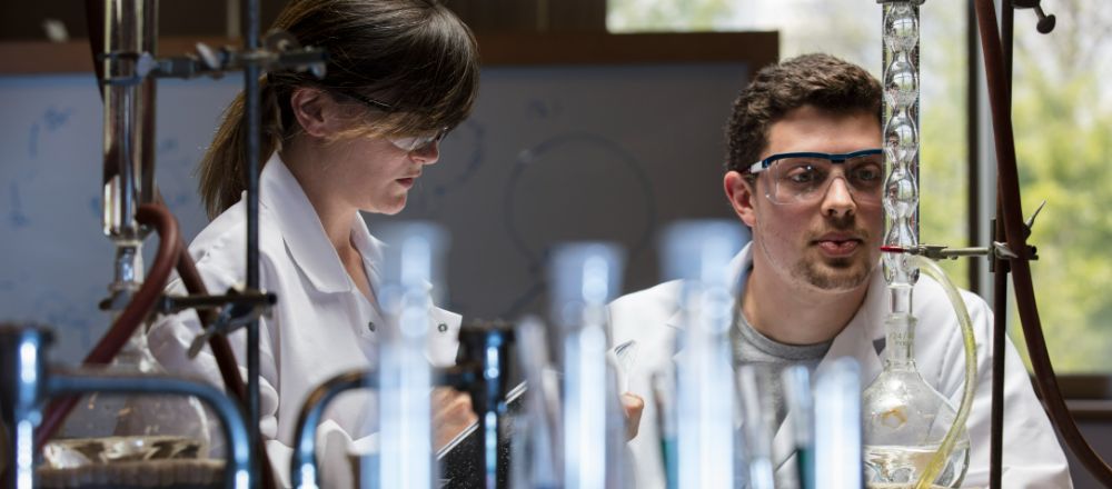 Students in a lab